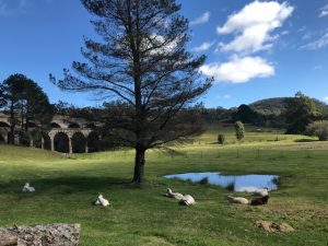 lithgow tourist information